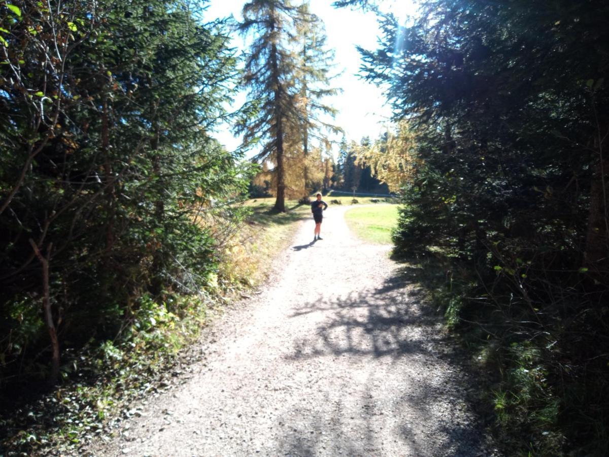 Pension Dolomitenblick Tesimo Esterno foto