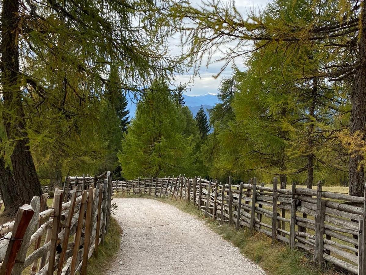 Pension Dolomitenblick Tesimo Esterno foto